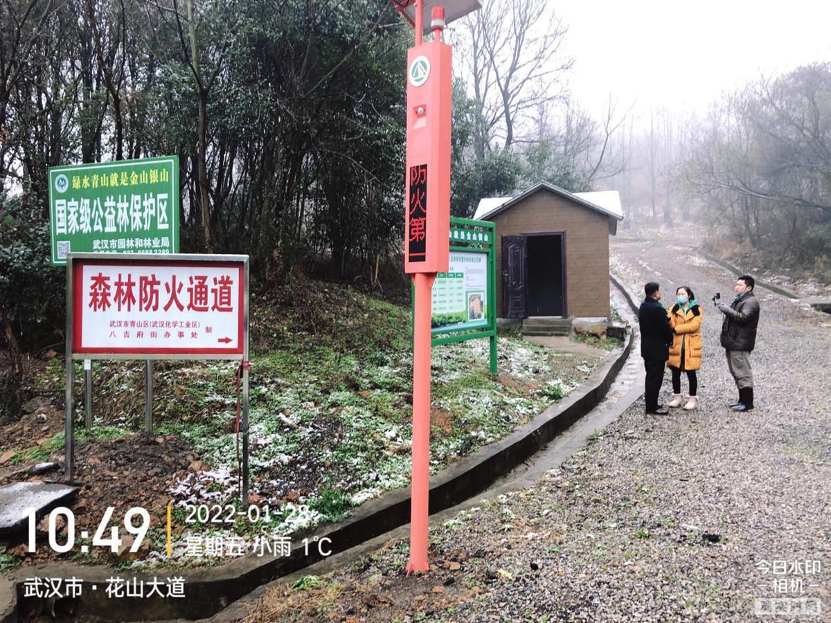 武漢織密森林“防火網(wǎng)”！千余護(hù)林員每日巡查 智能攝像頭監(jiān)控90萬(wàn)畝生態(tài)林