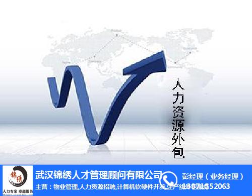 it外包市場(chǎng)分析及營(yíng)銷(xiāo)模式探討_it外包維護(hù)方案_it技術(shù)外包