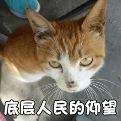 信息安全運(yùn)維服務(wù)_服務(wù)器運(yùn)維_it運(yùn)維服務(wù)管理體系